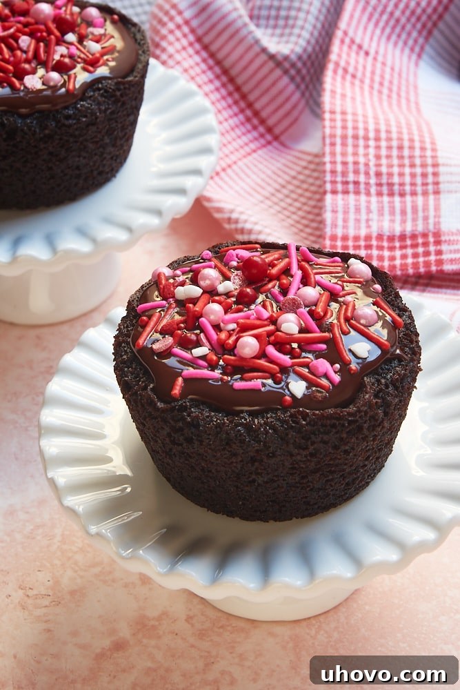 Close-up of two perfect Chocolate Cupcakes on small cake stands, topped with smooth melted chocolate and delicate sprinkles