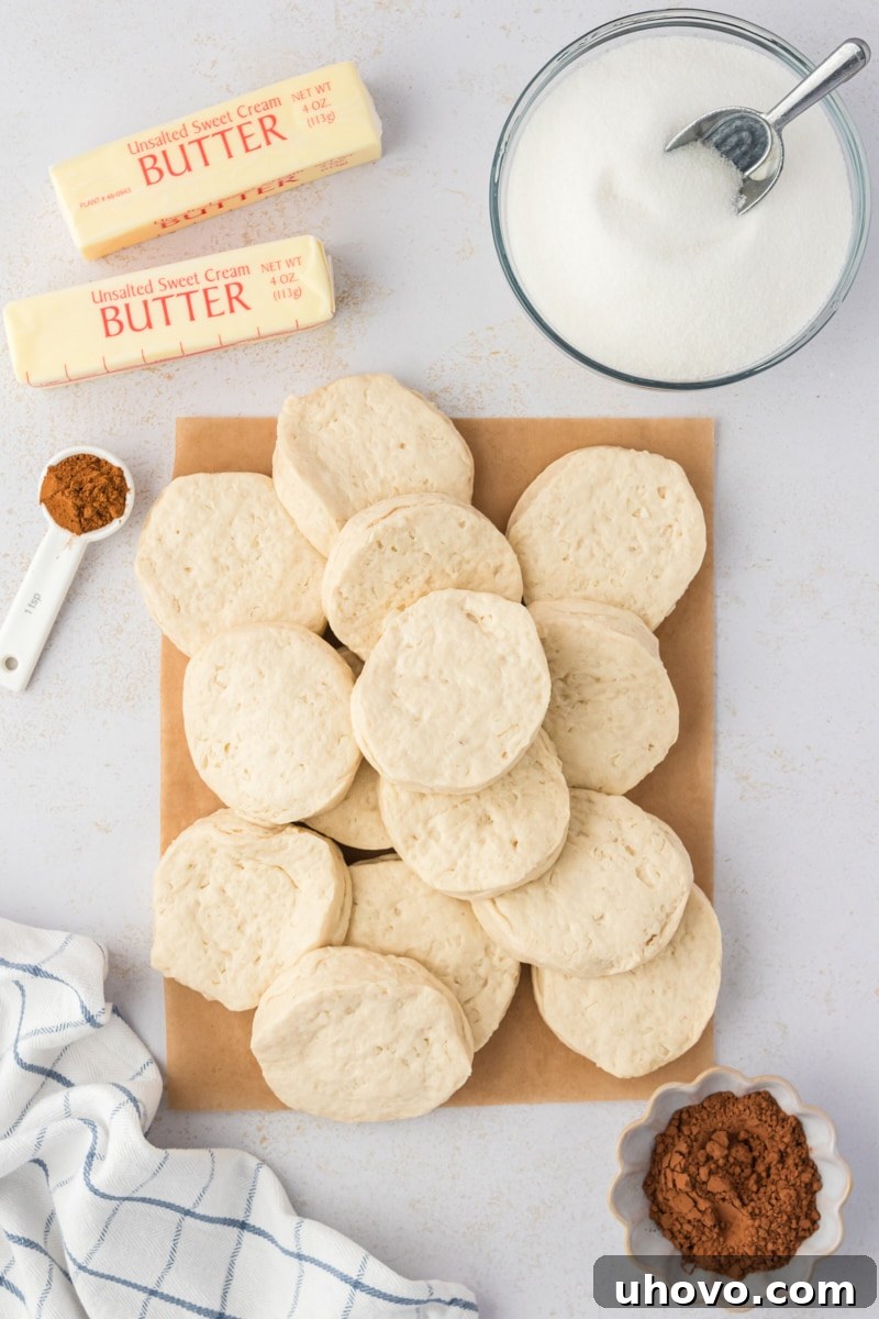 Overhead view of the five essential ingredients laid out on a table: granulated sugar, unsweetened cocoa powder, ground cinnamon, melted unsalted butter, and a can of refrigerated biscuits, ready to be transformed into chocolate monkey bread.