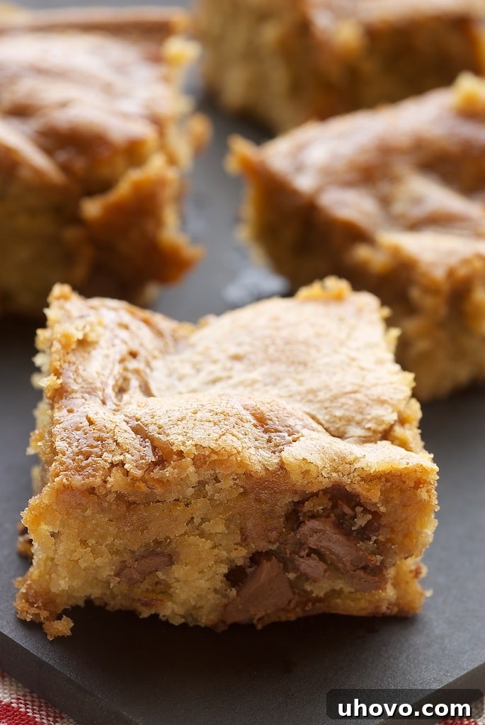Irresistible Caramel-Chocolate Chip Cookie Bars, a simple yet delicious homemade dessert packed with sweet caramel and rich chocolate chips.