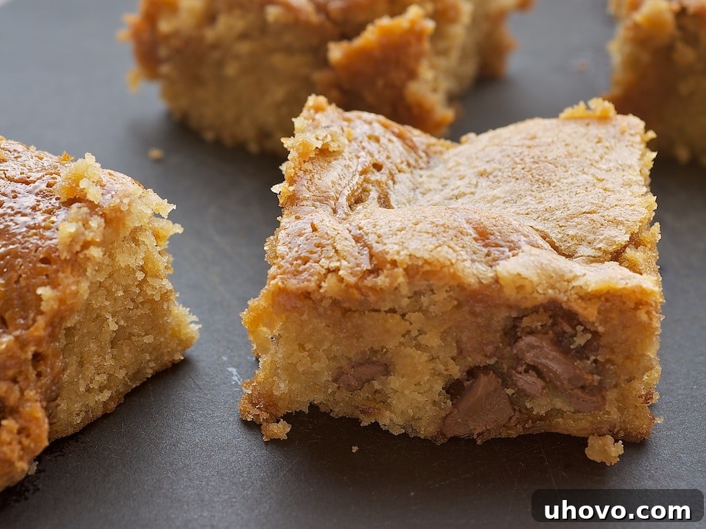 Delicious Caramel-Chocolate Chip Cookie Bars ready to be served, showcasing their gooey caramel swirls and melted chocolate chips.