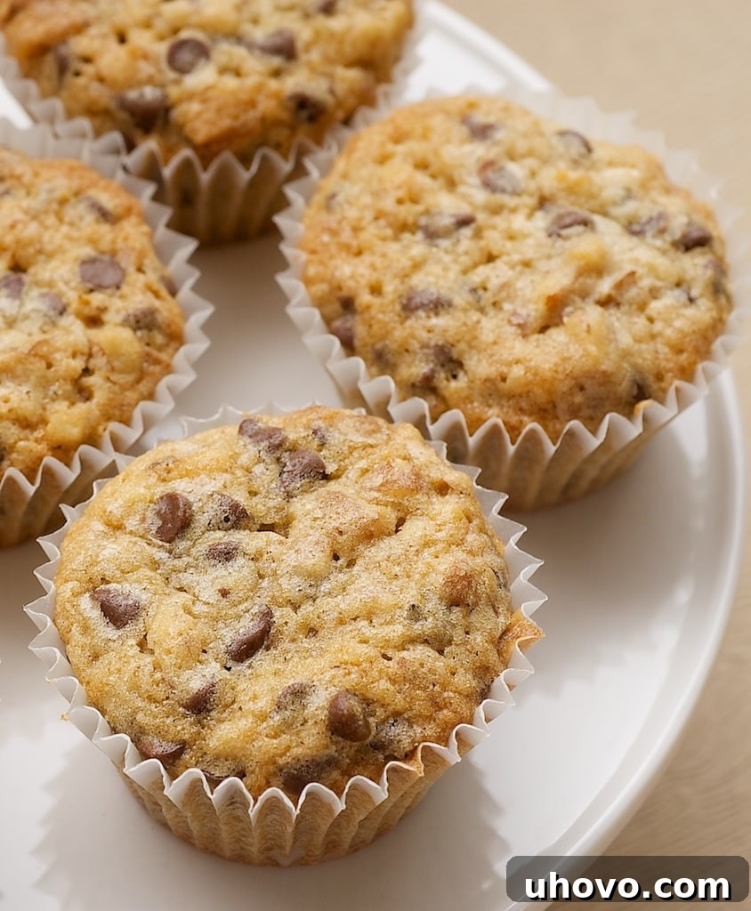 A white tray filled with an assortment of perfectly baked Chocolate Chip Pecan Cookie Bites, ready for serving or gifting, highlighting their uniform size and appealing golden color.