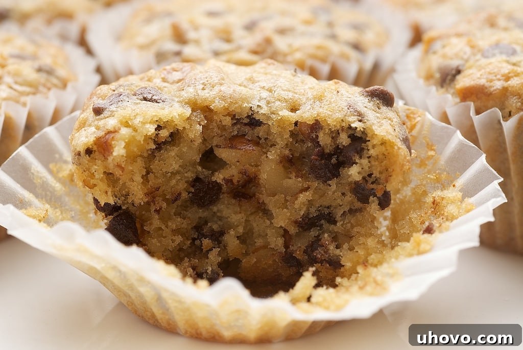 A close-up of a Chocolate Chip Pecan Cookie Bite broken in half, revealing its moist interior, pockets of melted chocolate chips, and visible pecan pieces, emphasizing its delicious texture.
