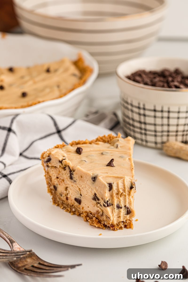 Peanut butter chocolate chip pie on plate with tip removed