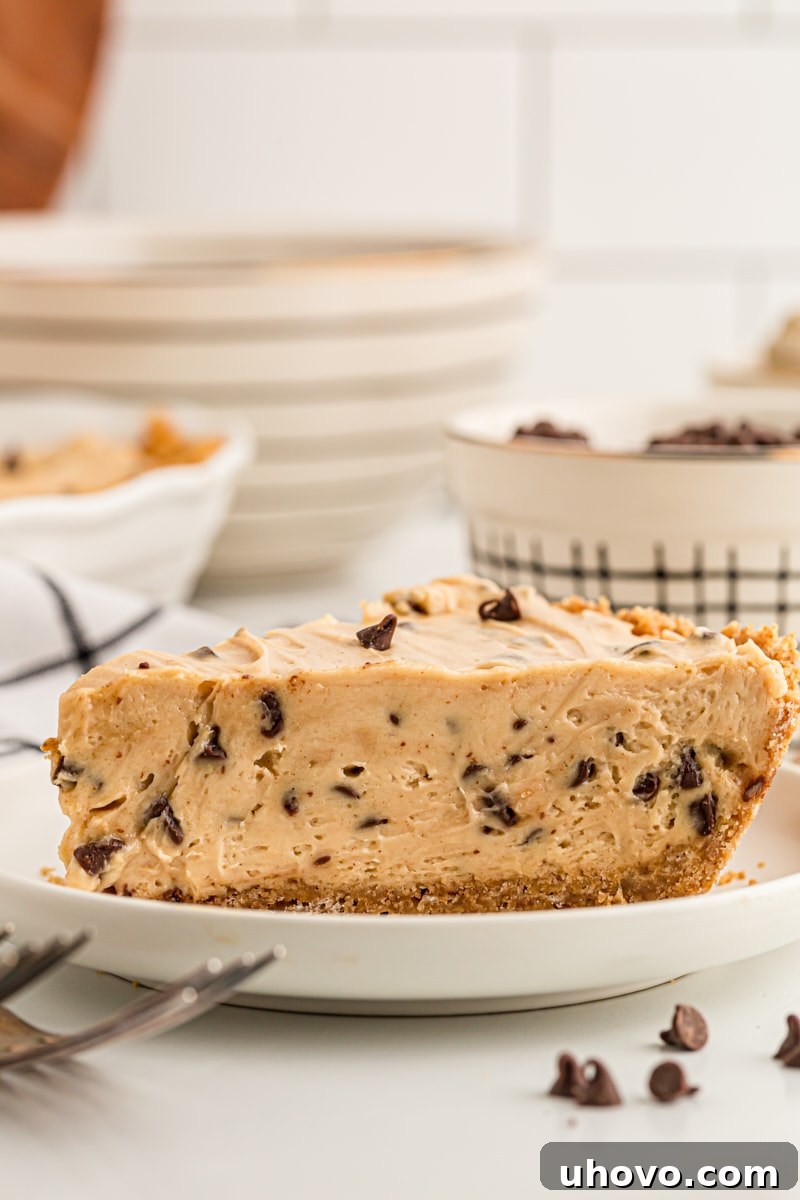 Side view of peanut butter chocolate chip pie on white plate