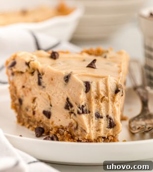 Close up of peanut butter chocolate chip pie on plate with tip eaten