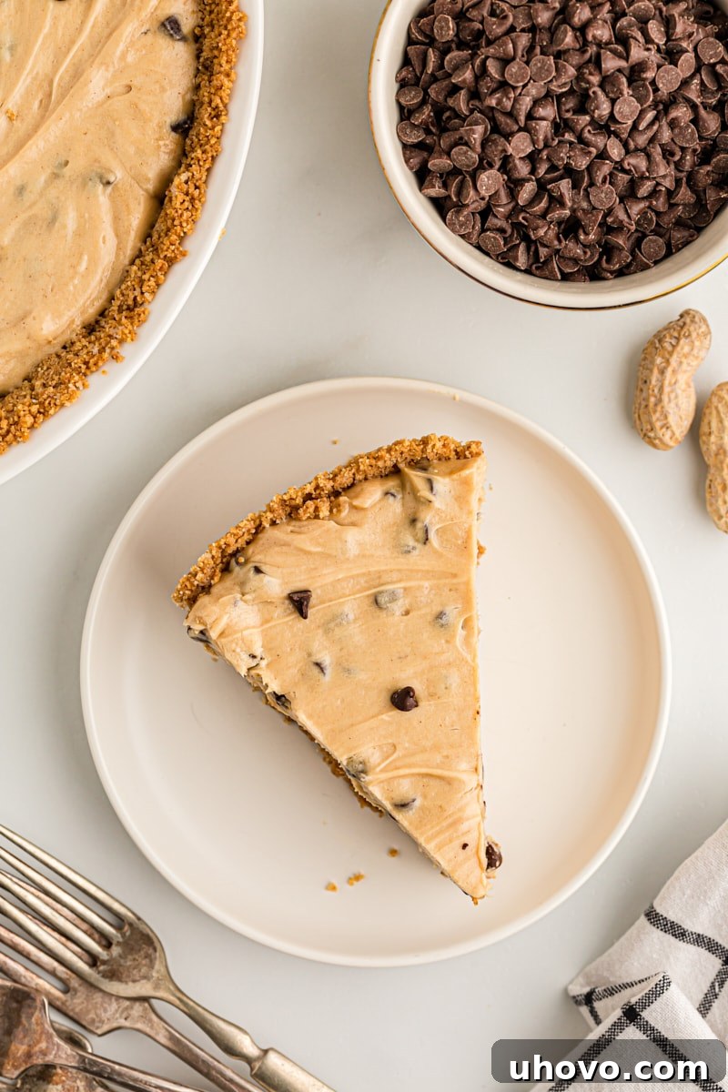 Overhead view of peanut butter chocolate chip pie on plate with rest of pie and chocolate chips in background