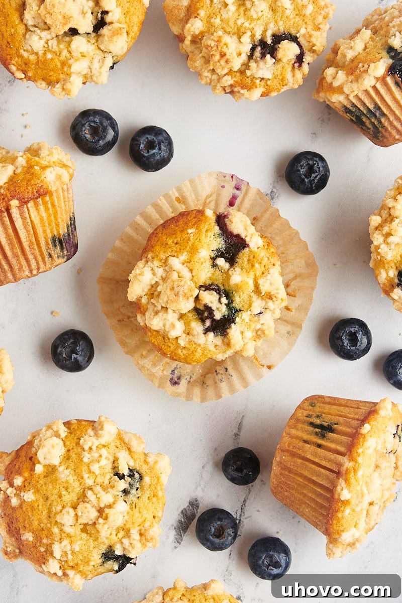 Overhead view of blueberry crumb muffins on countertop with middle muffin set on wrapper