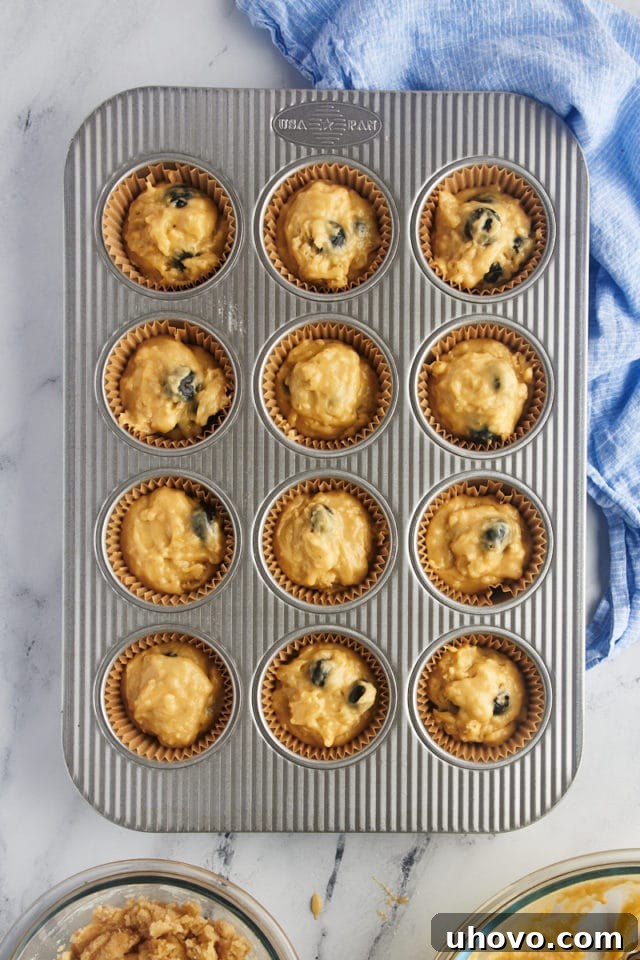 Overhead view of blueberry crumb muffins in pan before adding crumbs
