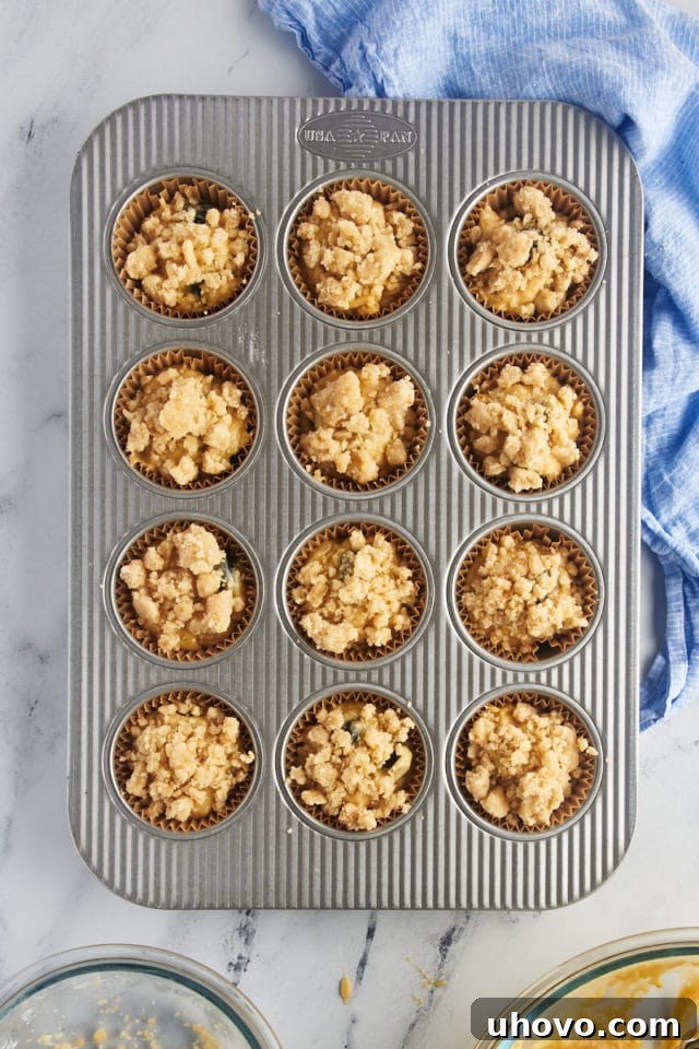 Overhead view of blueberry crumb muffins in pan before baking