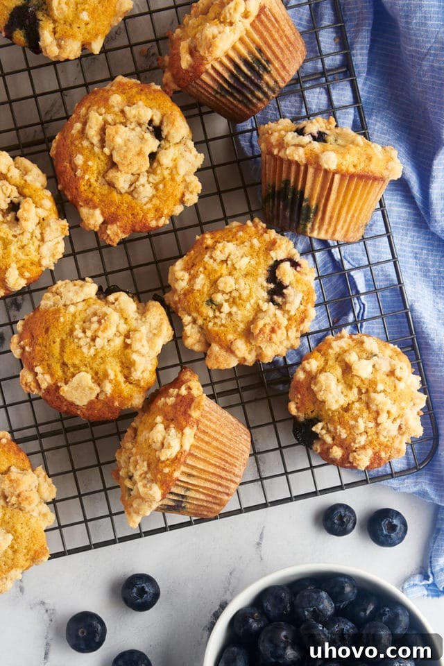 Overhead view of blueberry crumb muffins on wire rack with bowl of berries