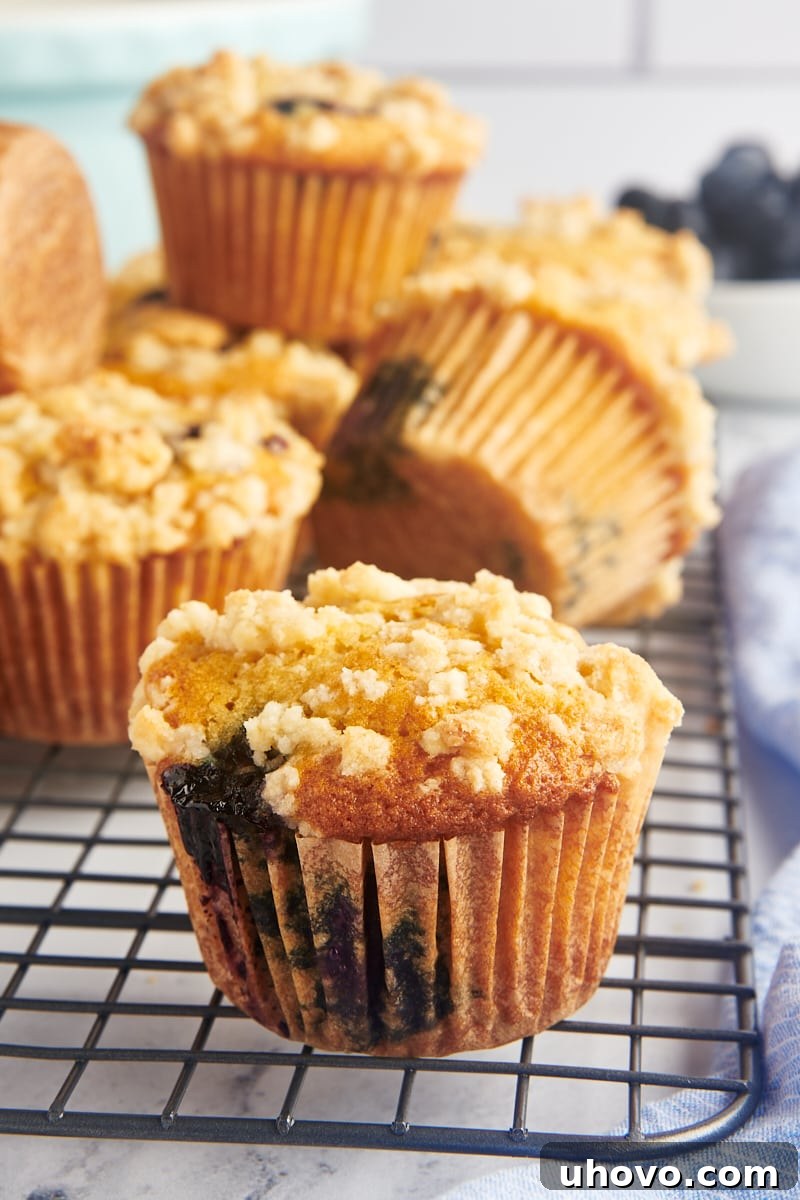 Side view of blueberry crumb muffins on wire rack