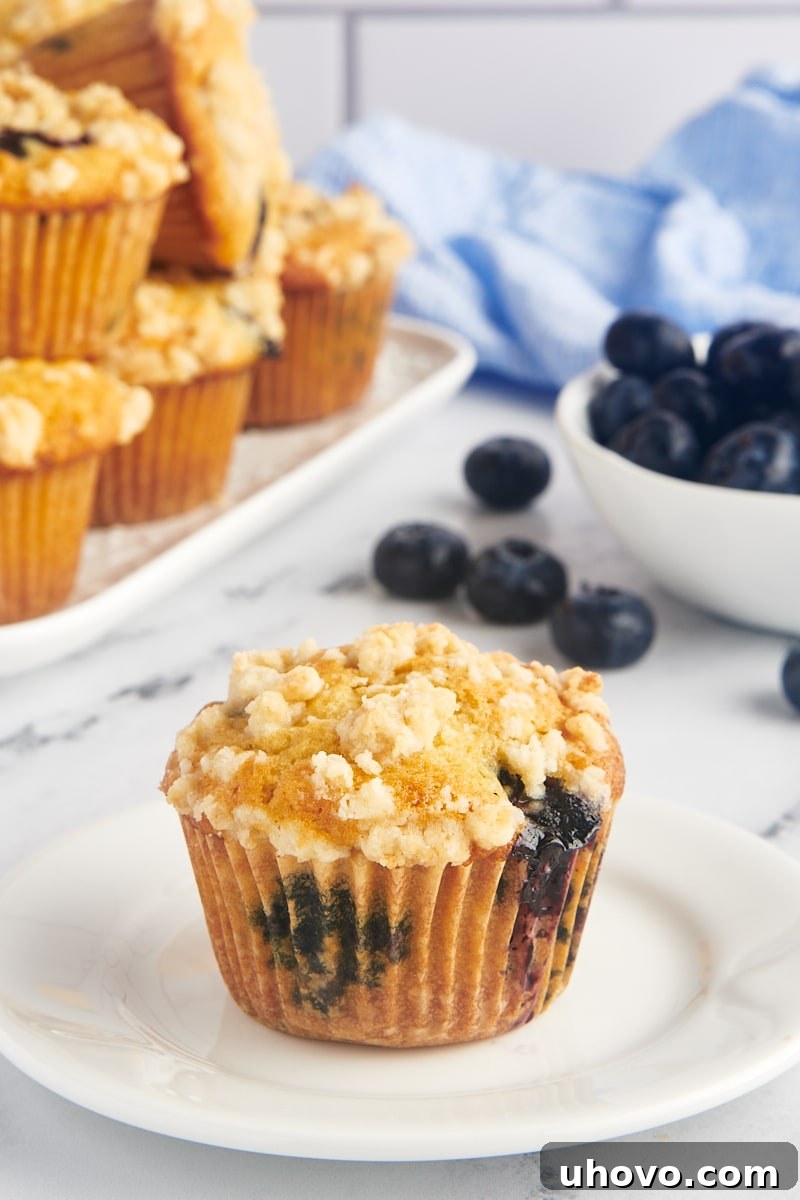 Blueberry crumb muffin on white plate with berries and additional muffins in background