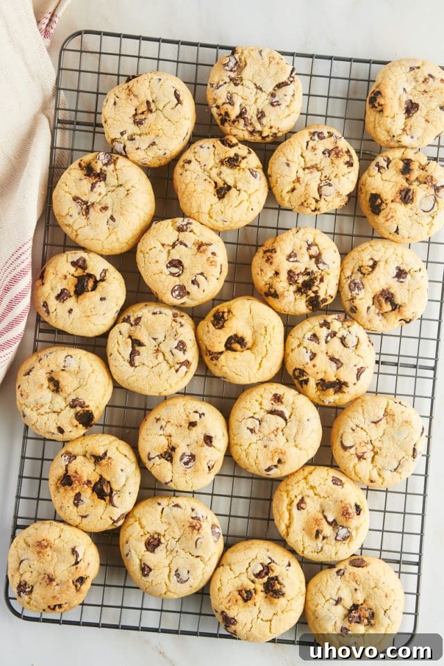 Baked cherry chocolate chip cookies cooling on a metal wire rack.