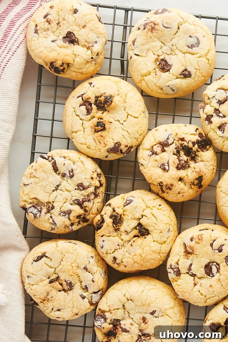 Freshly baked cherry chocolate chip cookies arranged on a wire rack to cool after coming out of the oven.
