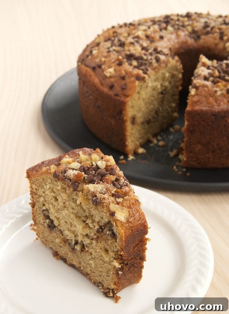 A comforting Sour Cream Banana Coffee Cake with chocolate chips and nuts.