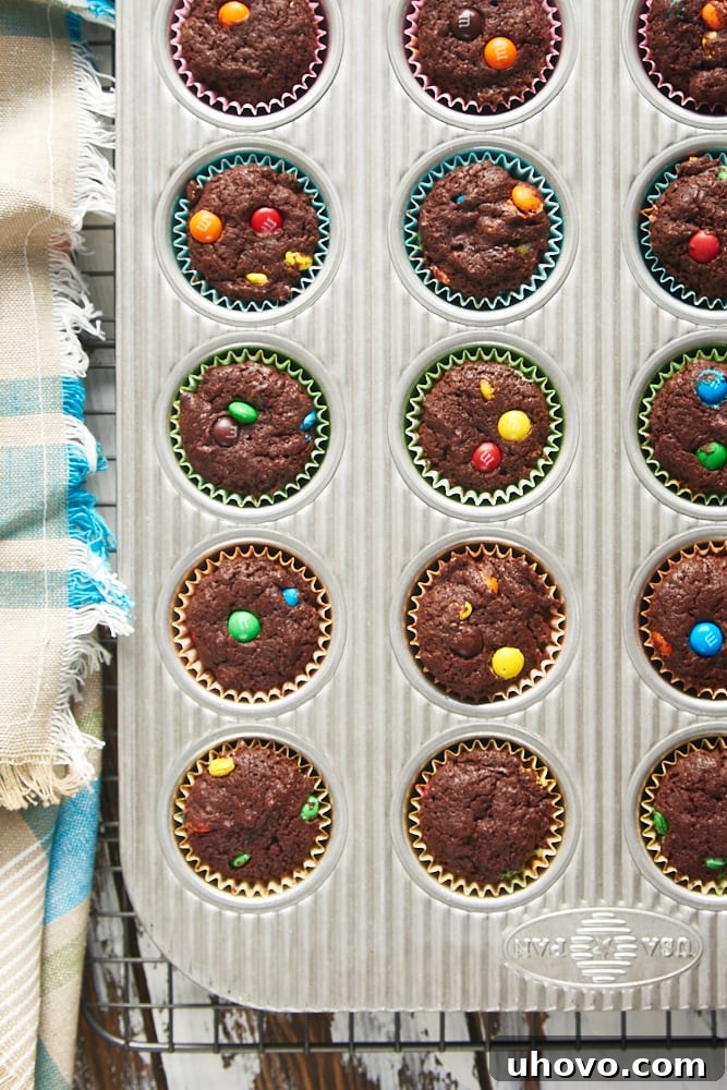 overhead view of freshly baked M&M Brownie Bites in a mini muffin pan
