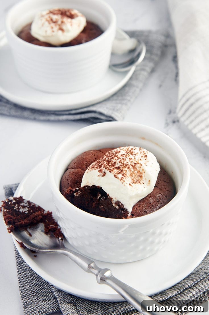 Two decadent Flourless Chocolate Cakes, rich and fudgy, adorned with fresh raspberries and powdered sugar.