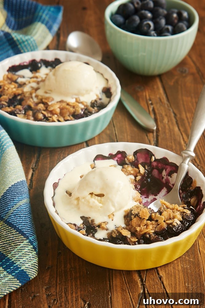 Two individual servings of Blueberry Crumble, topped with a scoop of vanilla ice cream, in small bowls.