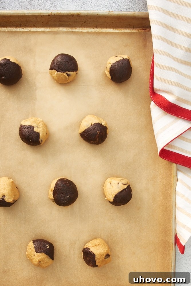 Overhead view of raw Chocolate Peanut Butter Swirl Cookie dough balls neatly arranged on a baking pan, ready for the oven.