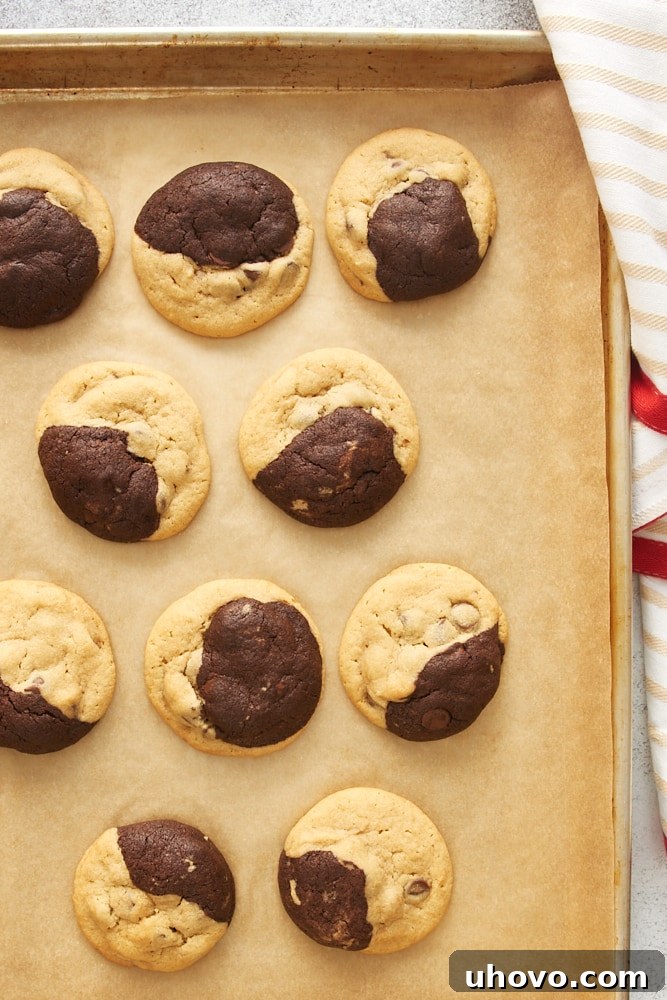 Overhead view of partially baked Chocolate Peanut Butter Swirl Cookies on a baking sheet, showing slight spreading and golden edges.
