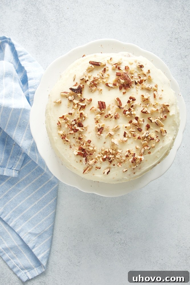 Overhead shot of a freshly frosted 6-Inch Hummingbird Cake, elegantly topped with a generous sprinkle of golden toasted pecans, ready to be served.