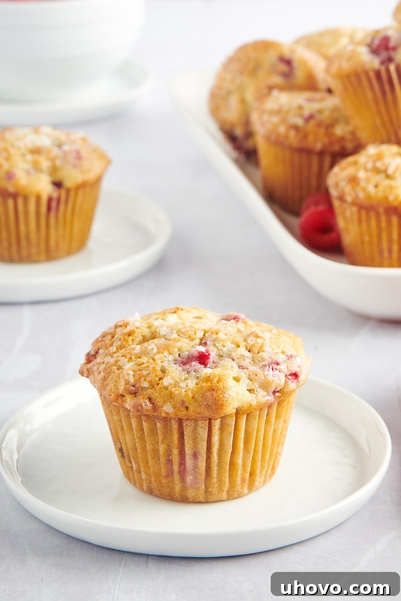 A single raspberry oat muffin on a white plate with other muffins blurred in the background, showcasing its texture.
