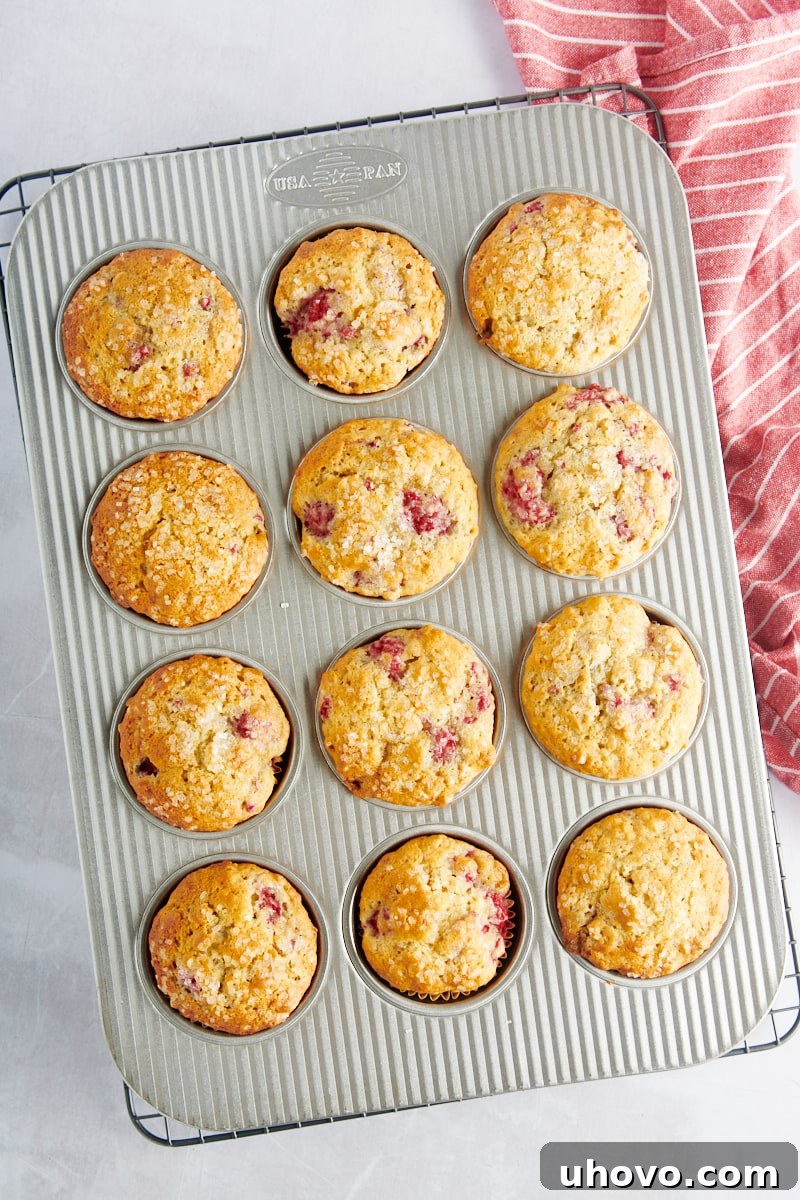 Freshly baked raspberry oat muffins still in the muffin pan, golden and perfectly risen.