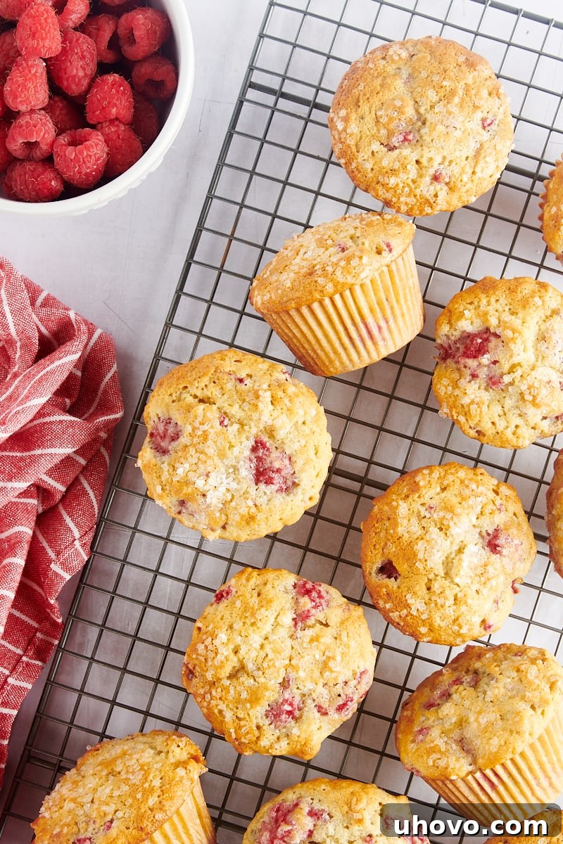 Warm raspberry oat muffins cooling on a wire rack.