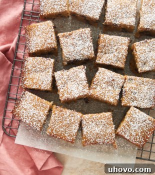 overhead view of Chocolate Chip Cookie Butter Snack Cake on parchment paper on a wire rack