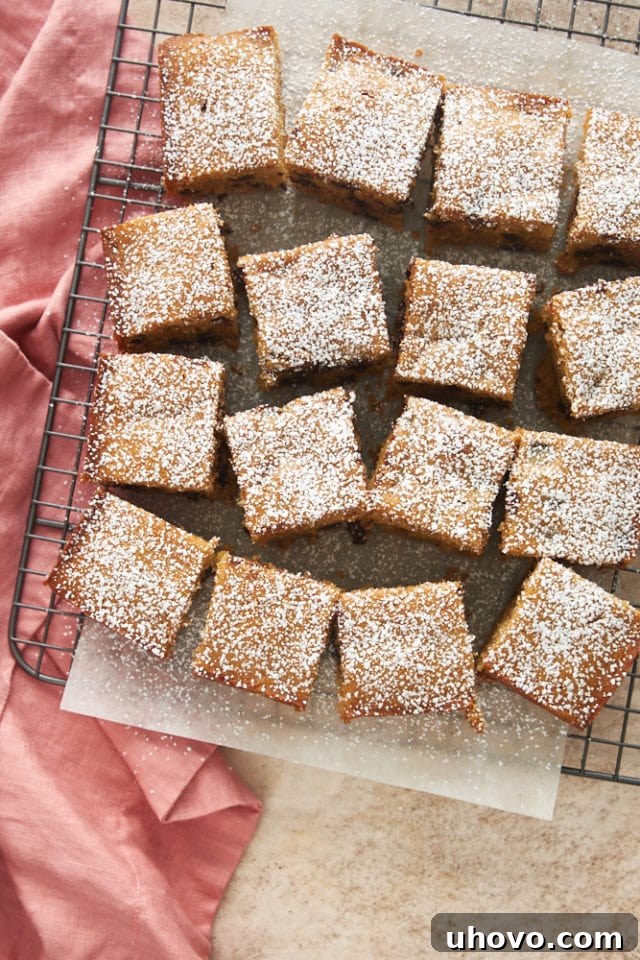 Overhead view of a perfectly baked Chocolate Chip Cookie Butter Snack Cake, cooling on parchment paper on a wire rack, ready to be sliced.