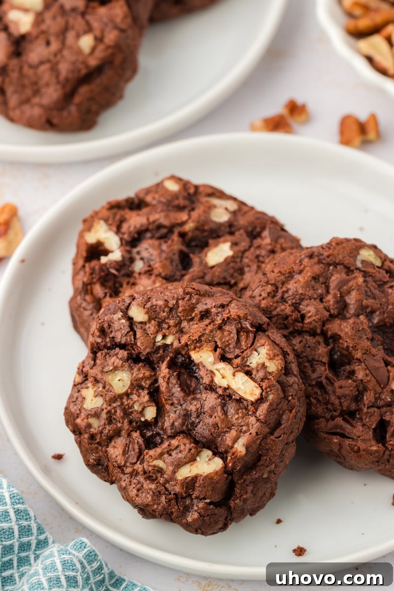 Three decadent double chocolate cookies arranged on a pristine white plate, showcasing their rich color and inviting texture.