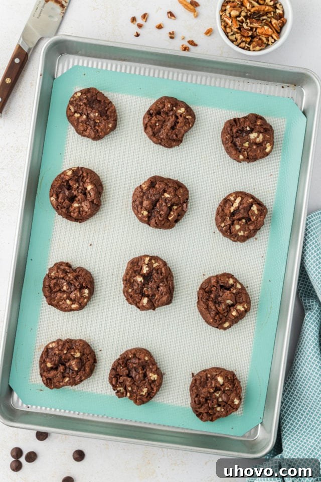 A mouthwatering overhead shot of freshly baked double chocolate cookies, cooling on the baking sheet and exhibiting their delightful texture.