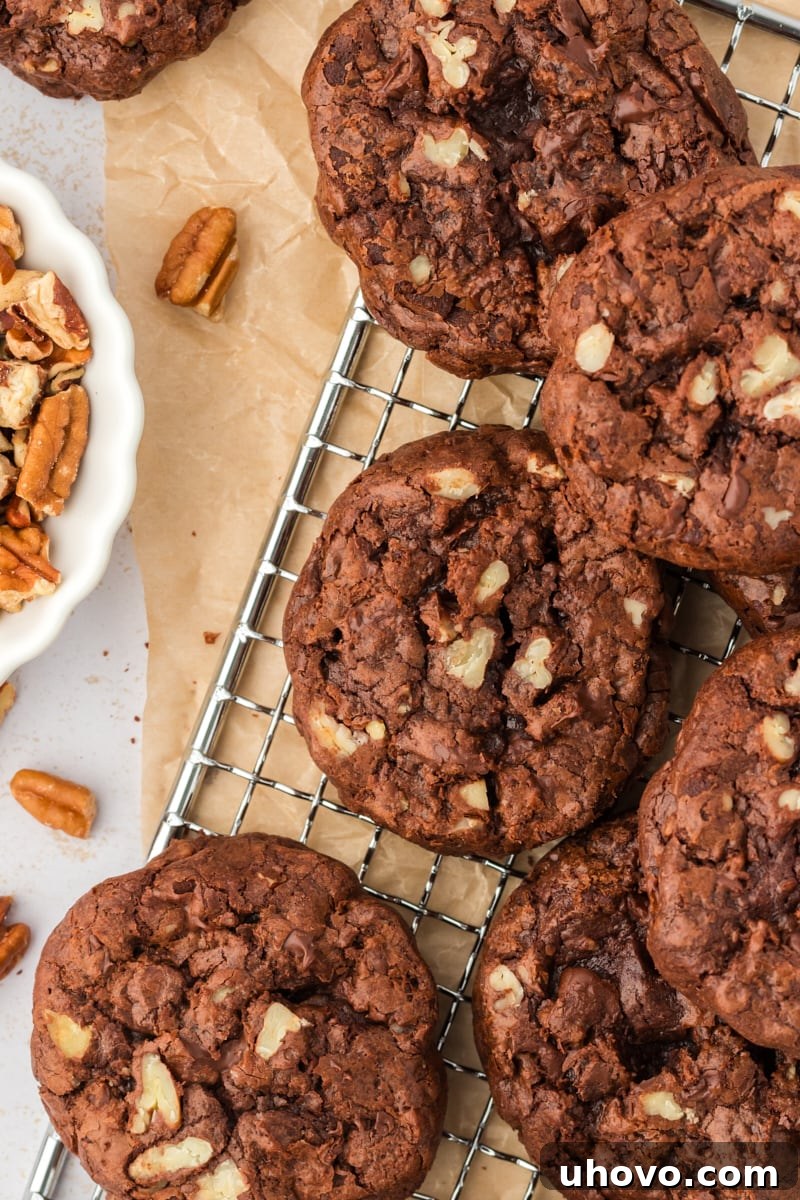An appetizing overhead view of several freshly baked double chocolate cookies cooling gracefully on a wire rack.