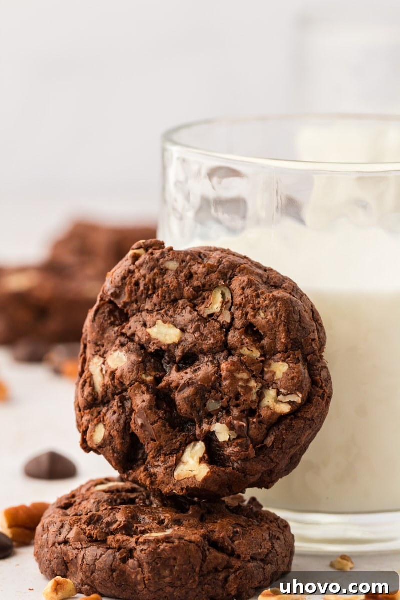 Two enticing double chocolate cookies gently leaning against a refreshing glass of milk, ready to be enjoyed.