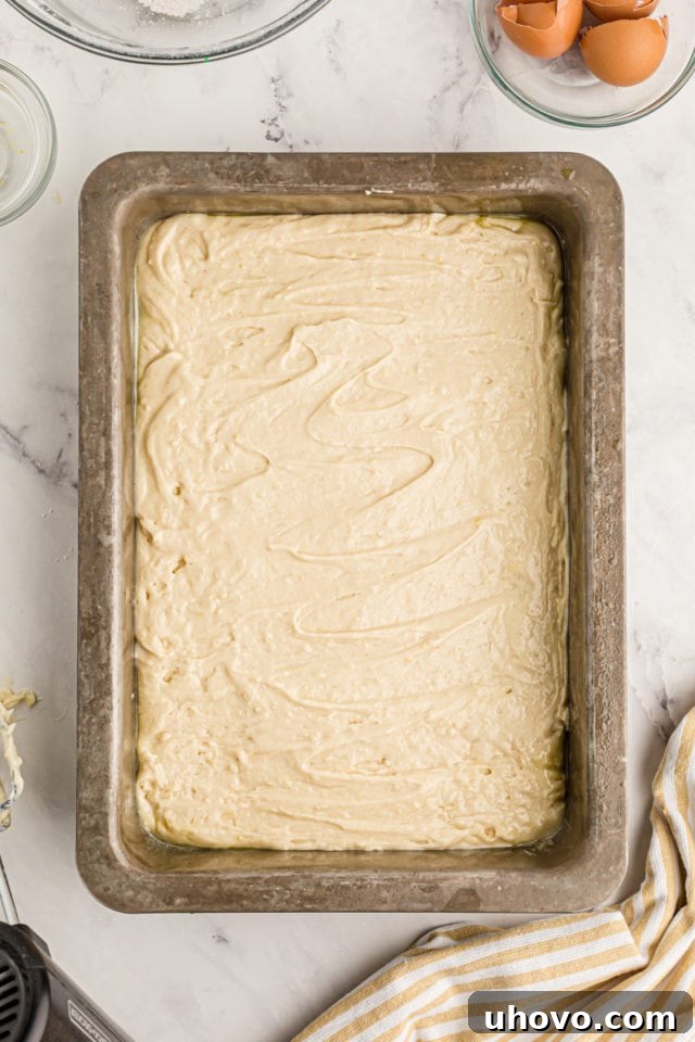 An overhead view of the smooth, prepared cake batter evenly spread in a baking pan, poised for the oven to transform it into a delicious lemon cake.