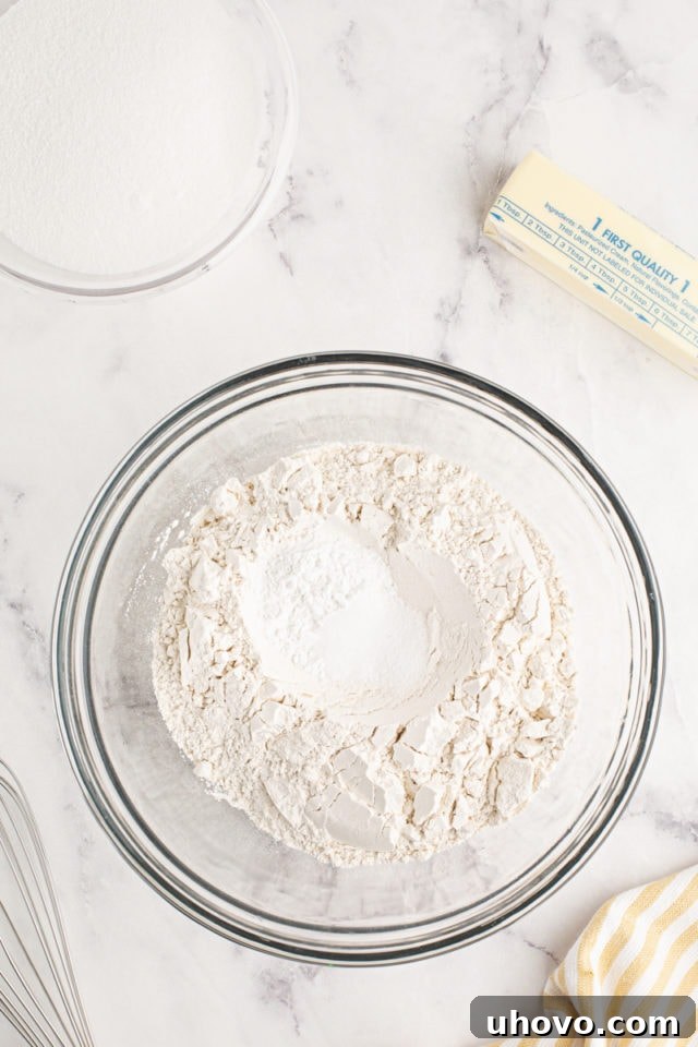 An overhead view of the precise combination of dry ingredients in a mixing bowl, prior to being whisked together, ensuring an even distribution for the cake batter.