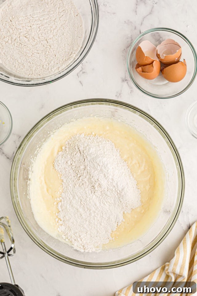 An overhead view capturing the moment dry ingredients are gradually folded into the rich cake batter, ensuring a smooth, lump-free consistency.