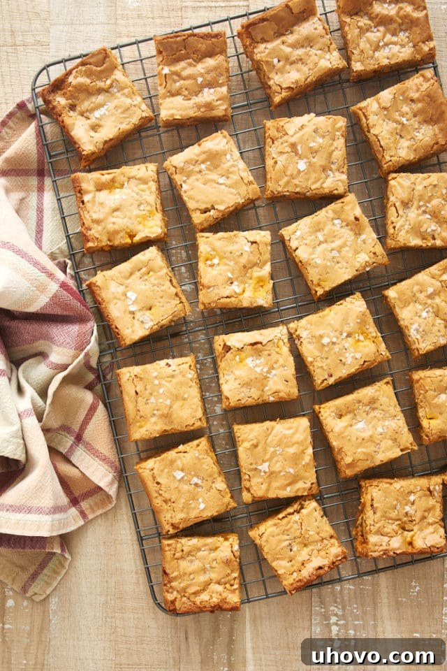 overhead view of sliced Salted Butterscotch Blondies arranged neatly on a wire rack