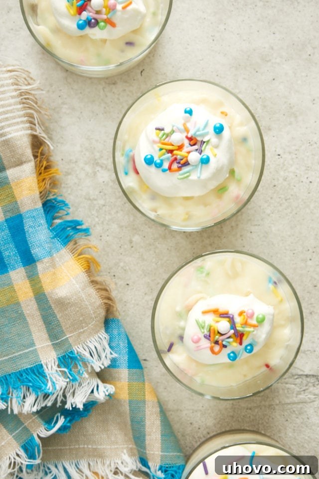 Overhead view of several Celebration No-Bake Cheesecakes arranged on a gray surface, showcasing their colorful tops.