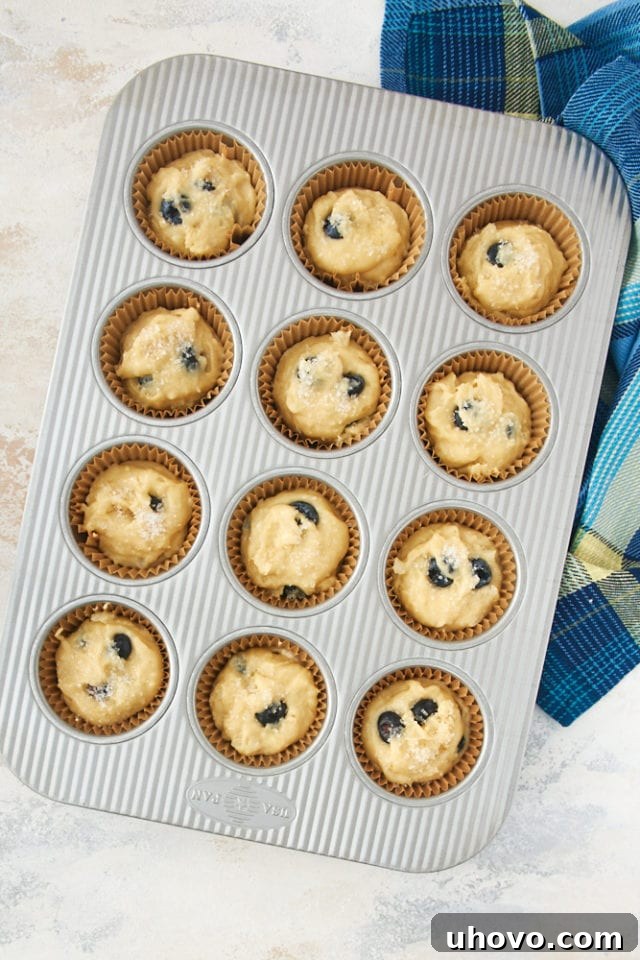 Fluffy blueberry muffin batter being scooped into a muffin pan, showing berries throughout.