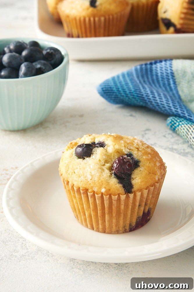 A single, perfectly baked Pineapple Blueberry Muffin resting on a simple white plate, ready to be enjoyed.