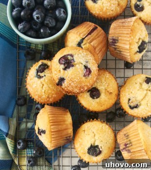 overhead view of golden-brown pineapple blueberry muffins on a wire rack
