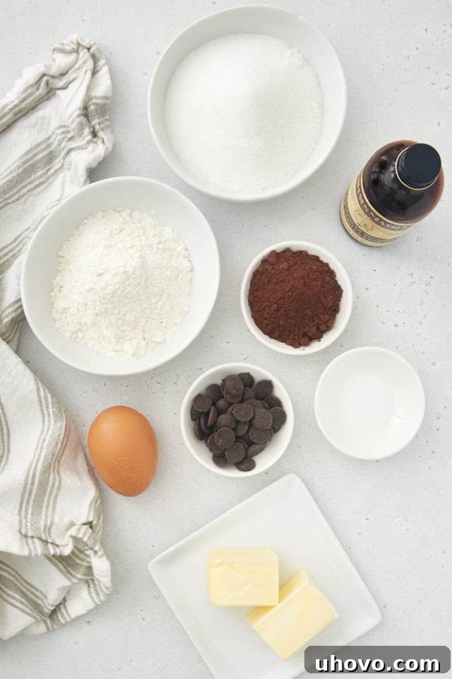 Essential ingredients for baking small batch brownies, including flour, cocoa powder, sugar, and vanilla extract.