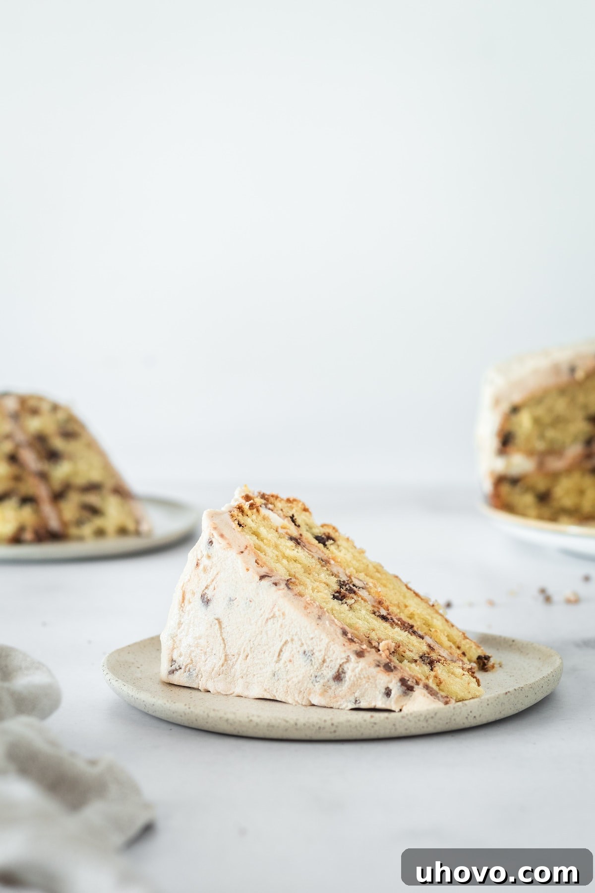 A beautifully sliced Chocolate Chip Cake on a plate, revealing its moist crumb and scattered chocolate chips, ready to be enjoyed.