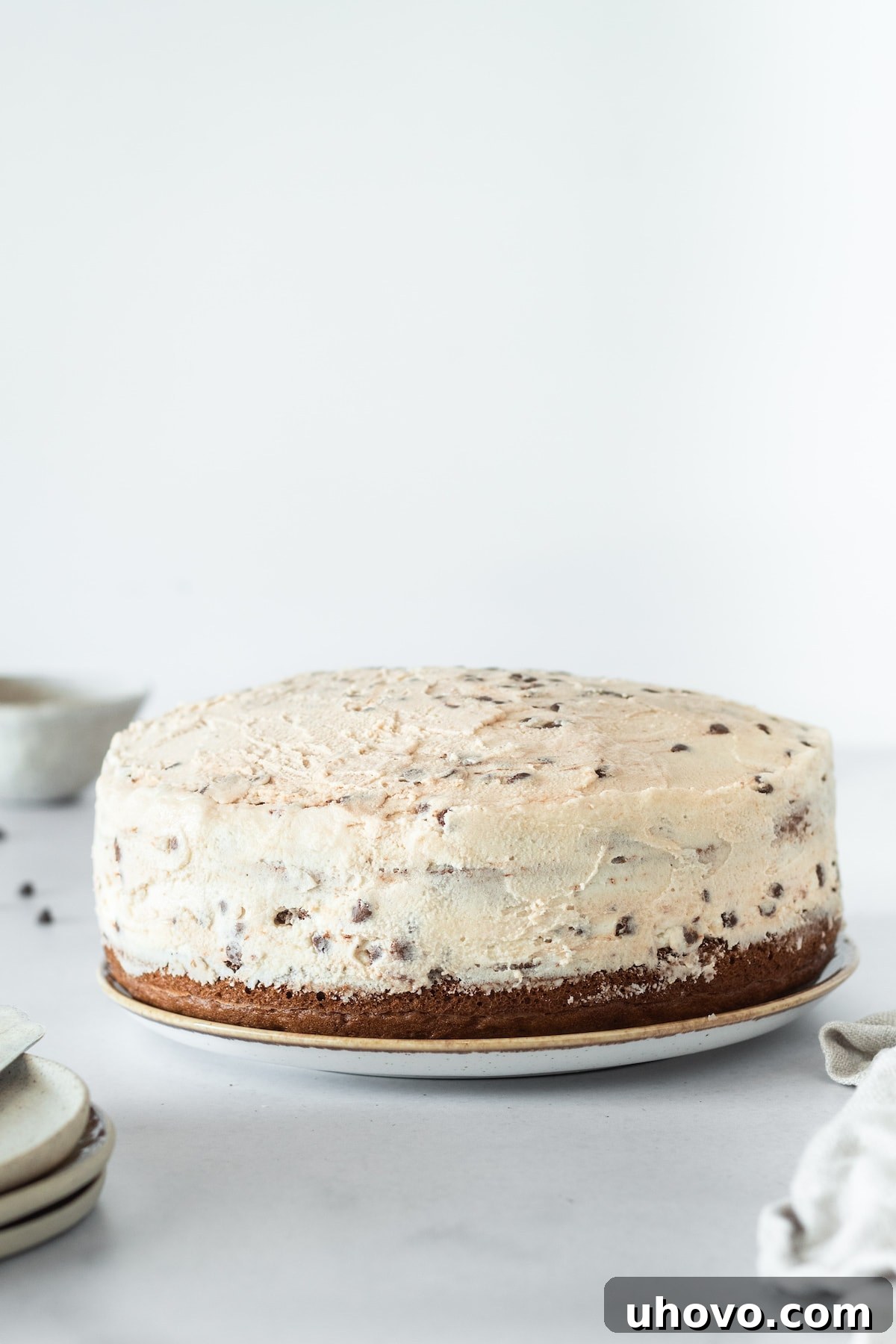 A beautifully frosted whole Chocolate Chip Cake presented on a clean white cake plate, inviting slices.