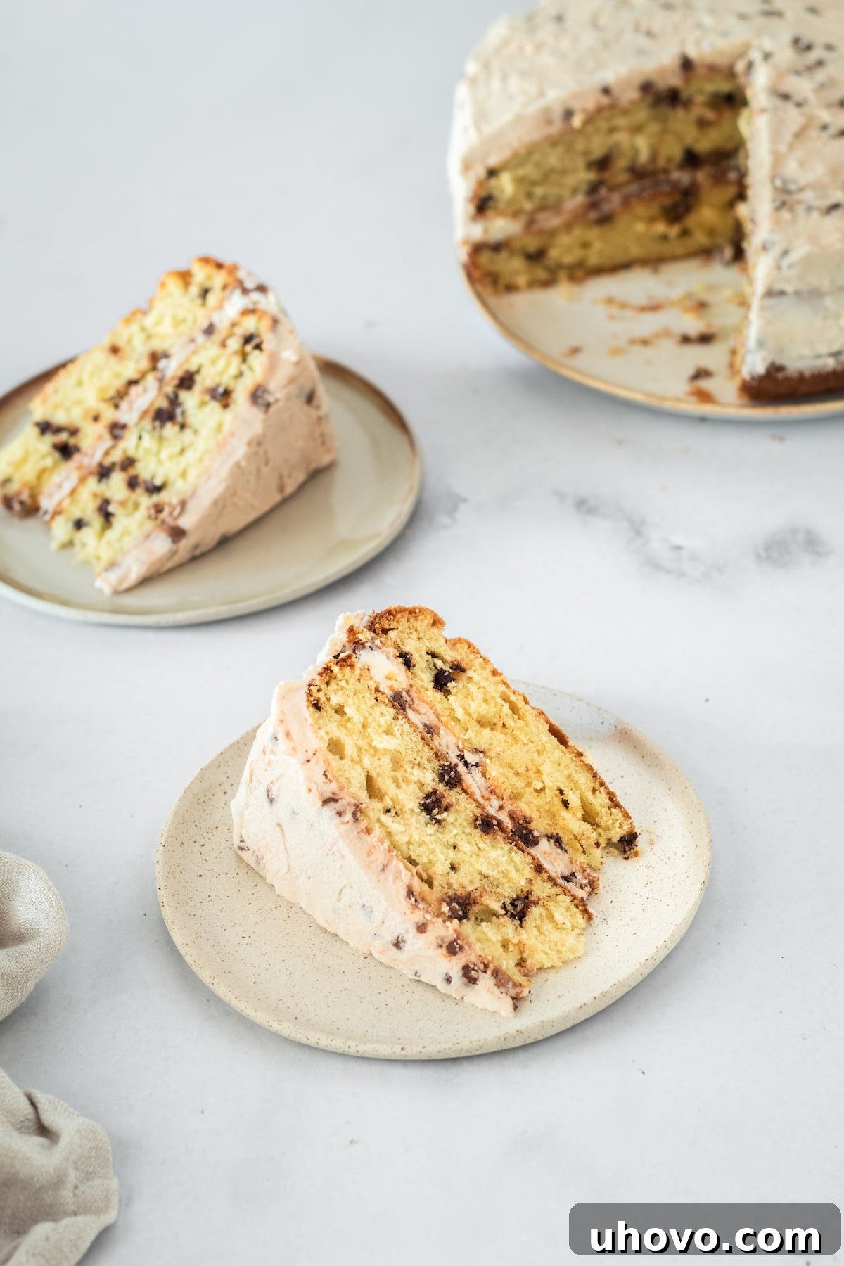Two generous slices of Chocolate Chip Cake artfully arranged on plates, with a blurred background suggesting more deliciousness.