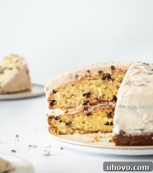 A delicious Chocolate Chip Cake with a slice removed, showing its tempting layers and frosting.
