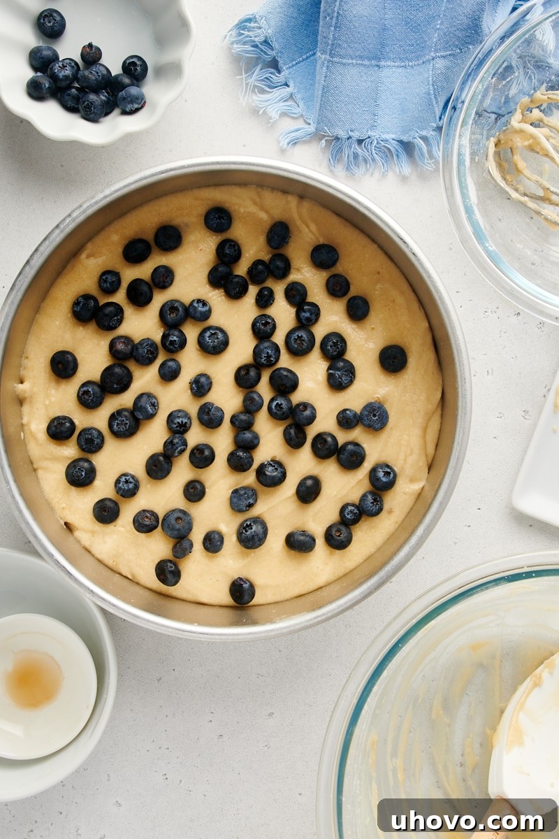 Blueberry cake batter in a round pan, with fresh blueberries scattered and lightly pressed into the top, and sanding sugar sprinkled over, ready for baking.