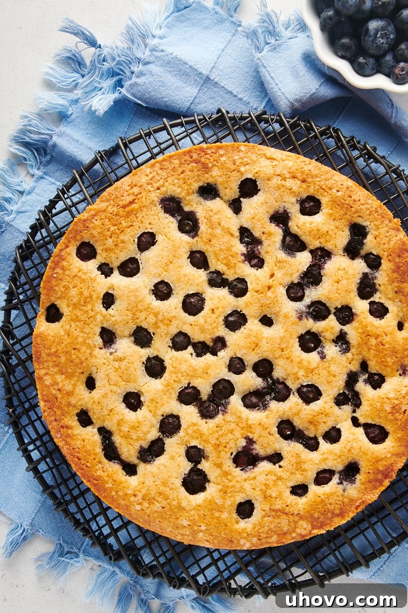 Overhead view of a whole, freshly baked blueberry breakfast cake cooling on a wire rack.