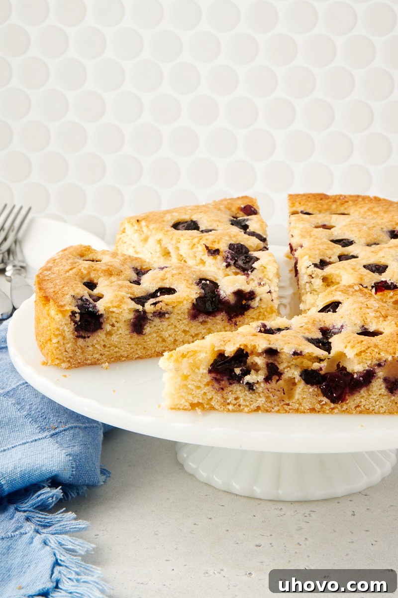 A beautifully sliced blueberry breakfast cake displayed on an elegant cake stand.